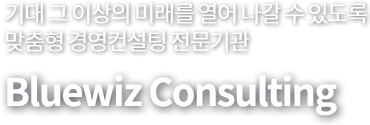 기대 그 이상의 미래를 열어 나갈 수 있도록 맞춤형 경영컨설팅 전문기관 Bluewiz Consulting